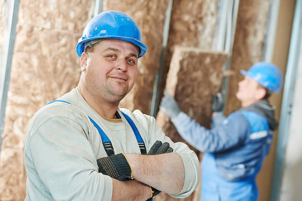 Best Residential Insulation in Clarion, IA